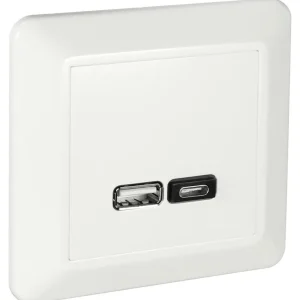 Laddstation Begränsat antal